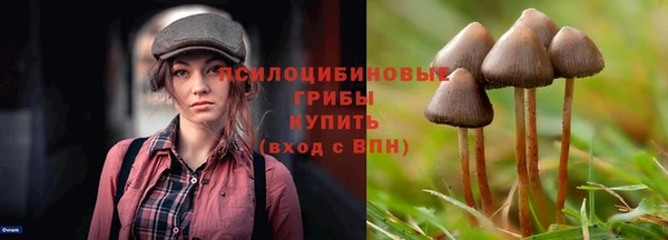 2c-b Абдулино