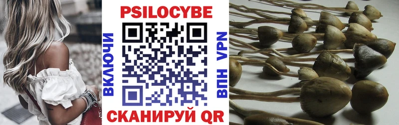 Галлюциногенные грибы Cubensis Октябрьский
